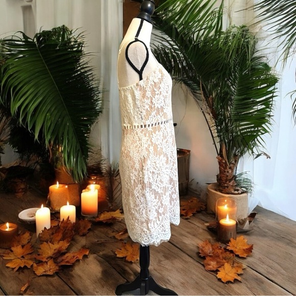 TOBI White Cream Lace Bodycon Dress - XL - Picture 3 of 15